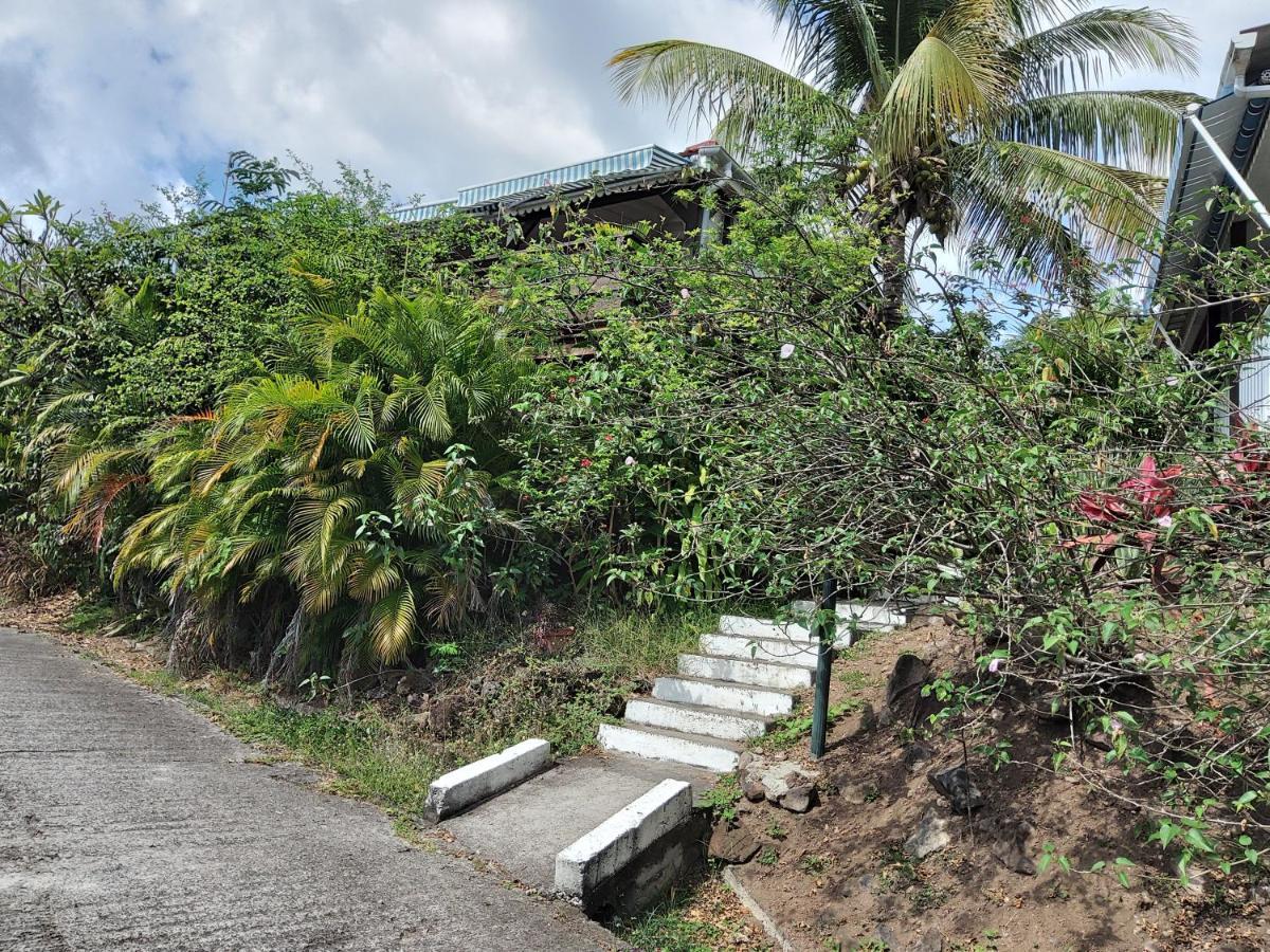 Les Gites Du Domaine De Petite-Anse Bouillante Bagian luar foto