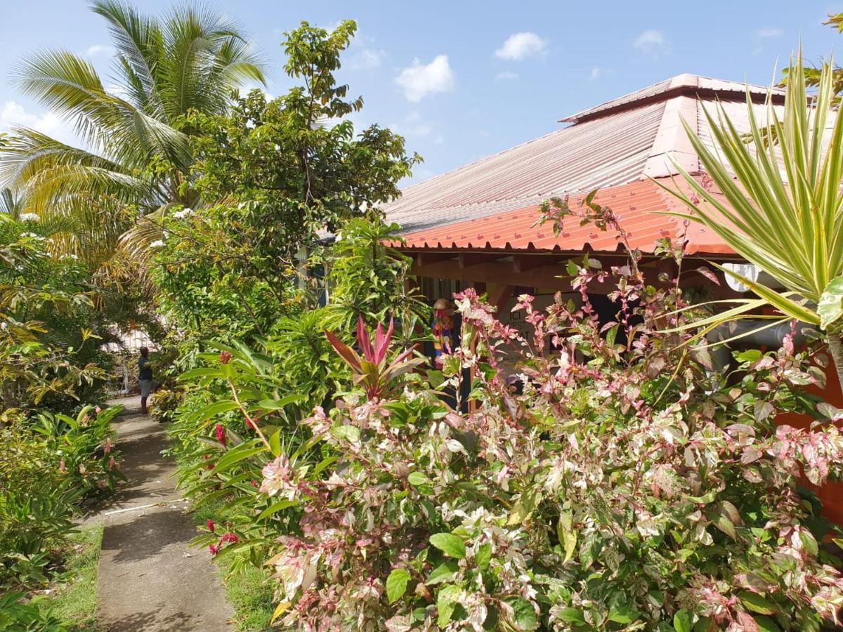 Les Gites Du Domaine De Petite-Anse Bouillante Bagian luar foto